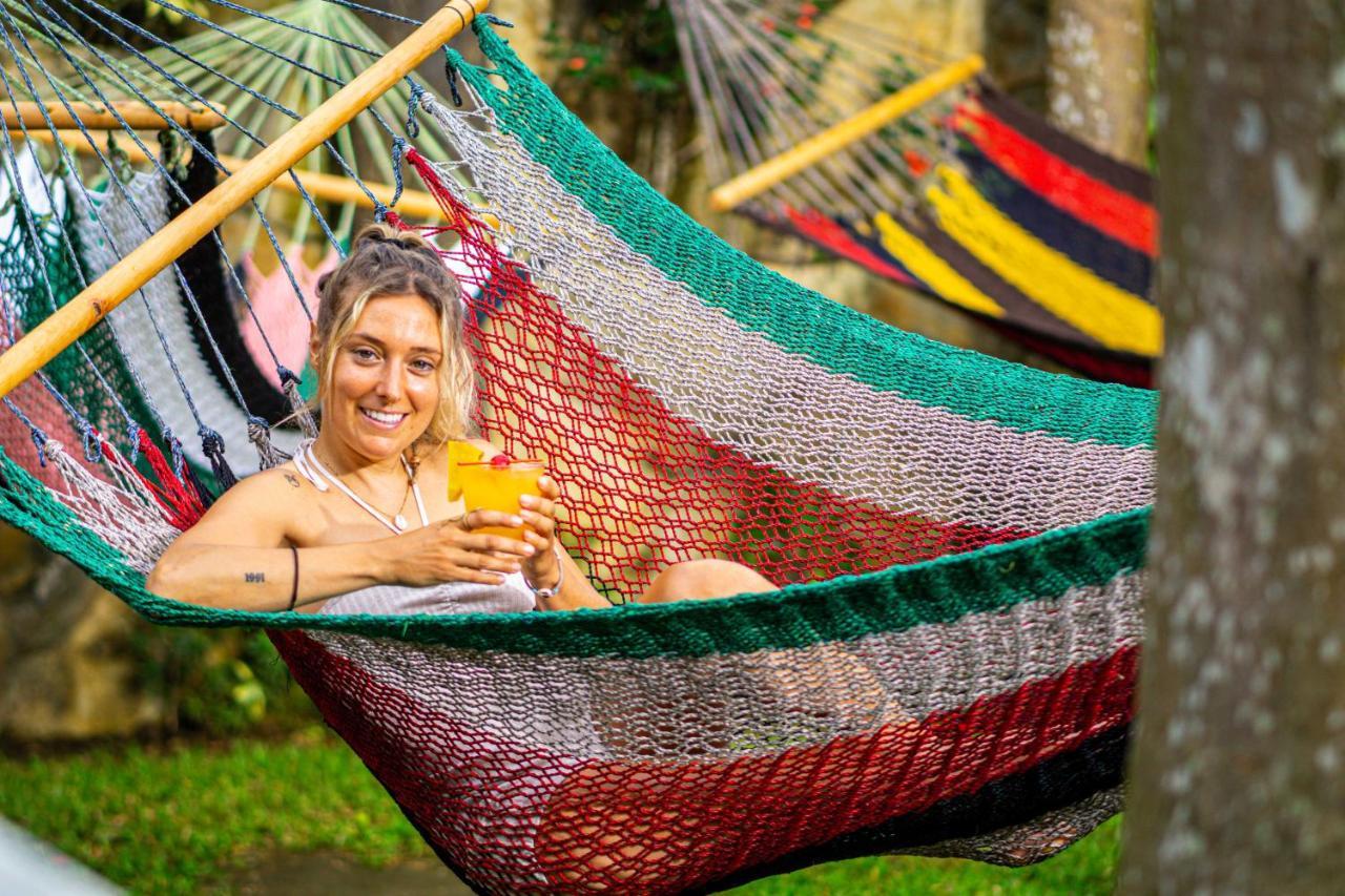 ラ・フォルトゥナ Arenal Poshpackerホステル エクステリア 写真